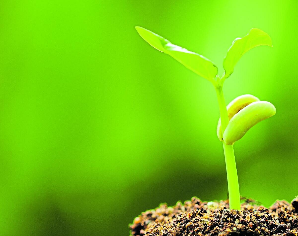 ಹಳೆ ಬೀಜ ಹೊಸ ತಂತ್ರ ಕೂಡಿರಲು ಕೃಷಿ ಸೊಗಸು