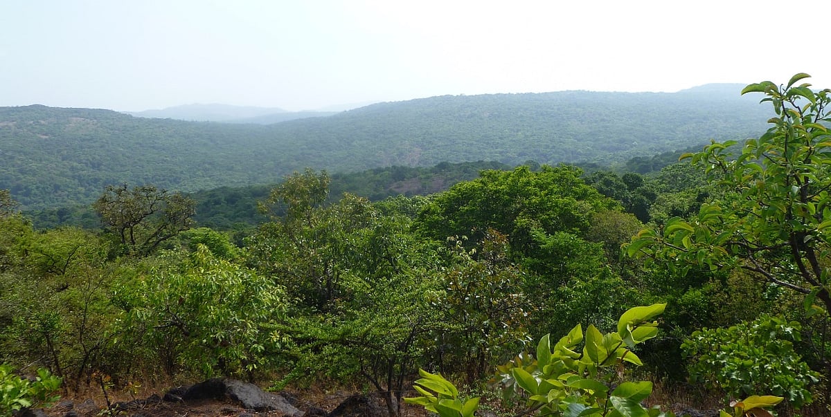 ಭೀಮಗಡ ಅಭಯಾರಣ್ಯ: ಅರಣ್ಯವಾಸಿಗಳ ಸ್ಥಳಾಂತರದಲ್ಲಿ ಅಕ್ರಮ; ಕೇಂದ್ರಕ್ಕೆ ದೂರು