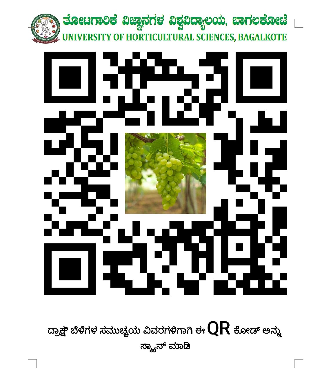 ಬೆಳೆ ಮಾಹಿತಿಗೆ ಕ್ಯುಆರ್‌ ಕೋಡ್‌: ಮೊಬೈಲ್‌ ಫೋನ್‌ನಲ್ಲಿ ವಿಡಿಯೊ ಸಹಿತ ವಿವರಣೆ