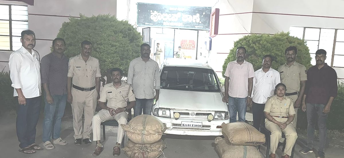 ನರಸಿಂಹರಾಜಪುರ | ಅಡಿಕೆ ಕಳ್ಳತನ ಮಾಡಿದ ದಂಪತಿ: ಆರೋಪಿಗಳ ಸಹಿತ ಅಡಿಕೆ ವಶ