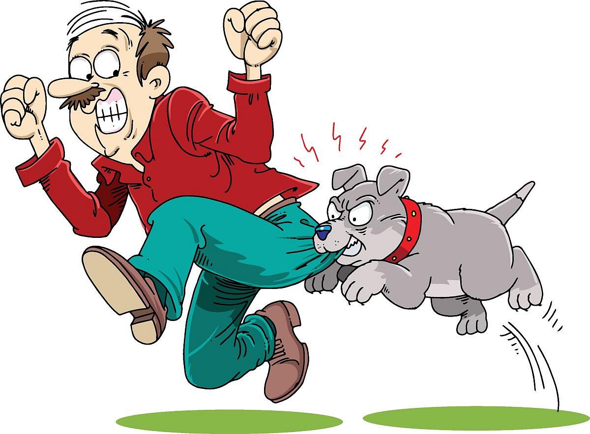 ಆರೋಗ್ಯ | ನಾಯಿ ಕಚ್ಚಿತೆ? ಹೀಗೆ ಮಾಡಿ...