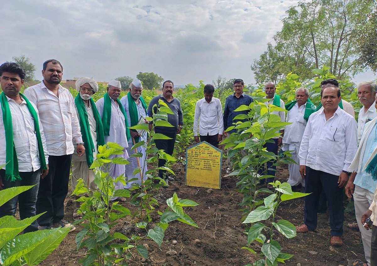 ಮರಕಲ್: ರೇಷ್ಮೆ ಕೃಷಿಯಿಂದ ಉತ್ತಮ ಆದಾಯ
