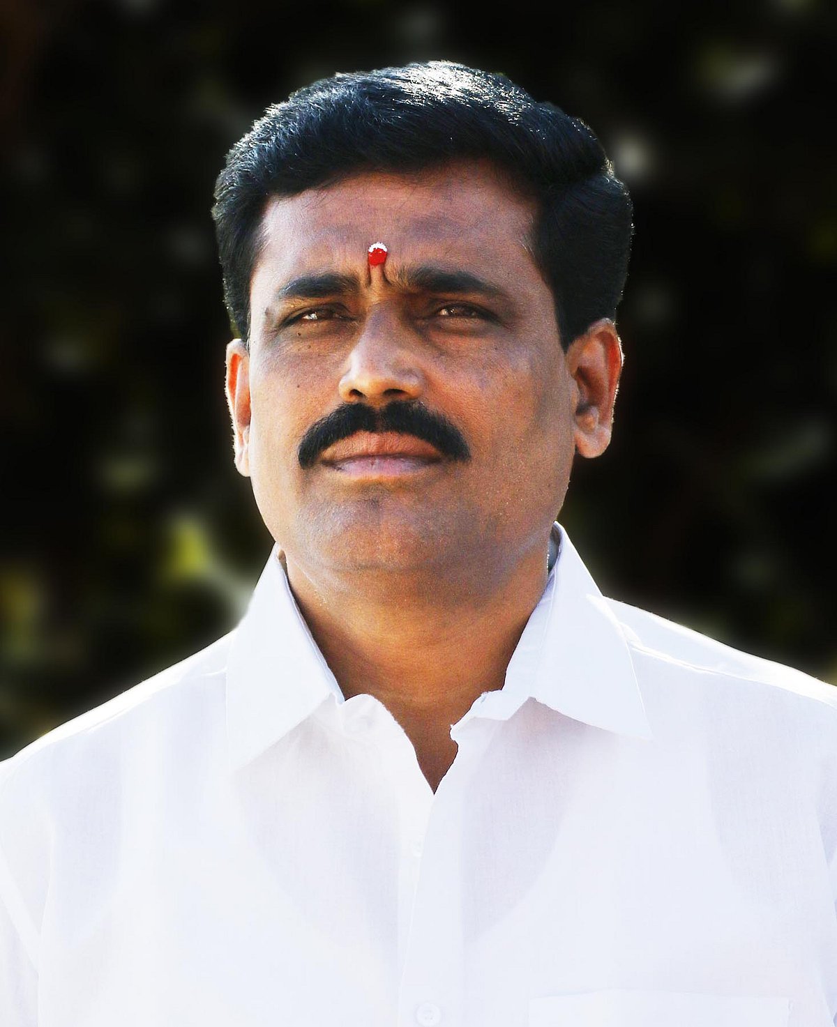 ಅಂಬೇಡ್ಕರ್ ಭವನ ನಿರ್ಮಾಣಕ್ಕೆ ಹಣ ಬಿಡುಗಡೆ: ಶಾಸಕ ಬಿ.ಎನ್.ರವಿಕುಮಾರ್