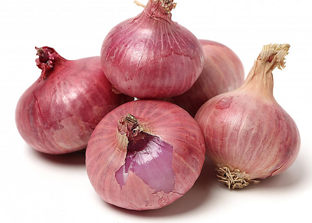 ಕುಸಿದ ಈರುಳ್ಳಿ ಸಗಟು ದರ: ಜನವರಿಯಿಂದ ಕಟಾವು ಆರಂಭ; ಮತ್ತಷ್ಟು ಬೆಲೆ ಇಳಿಕೆ?