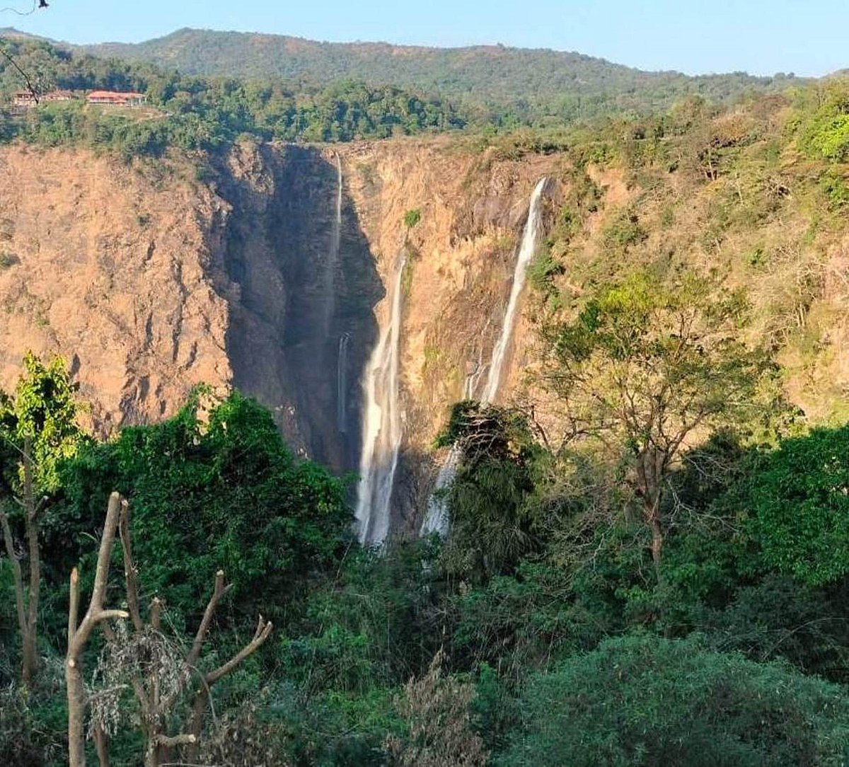 ಜೋಗ ಜಲಪಾತ ವೀಕ್ಷಣೆಗೆ ಇಲ್ಲ ನಿರ್ಬಂಧ 