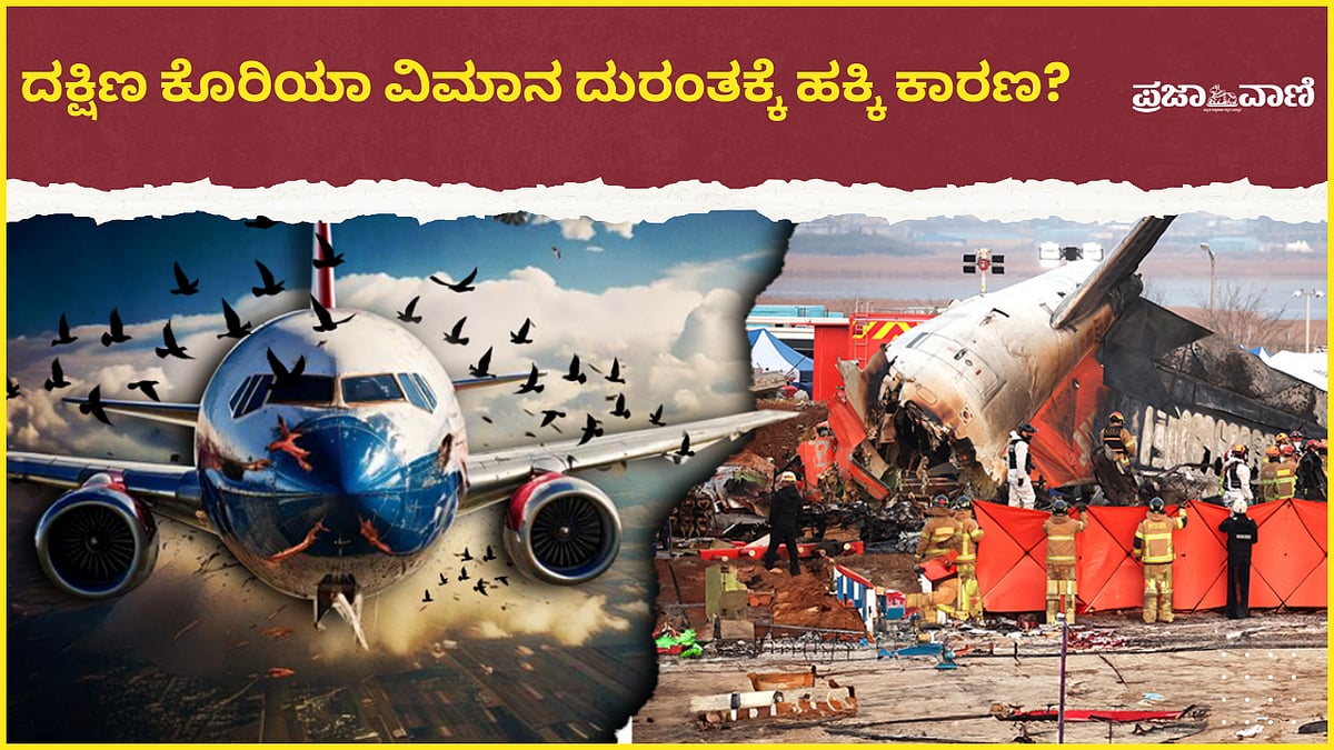 Video | ದಕ್ಷಿಣ ಕೊರಿಯಾ ವಿಮಾನ ದುರಂತಕ್ಕೆ ಹಕ್ಕಿ ಕಾರಣ?