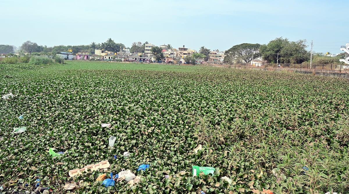 ಚನ್ನಕೇಶವ ನಗರ | ಸೌಕರ್ಯ ಮರೀಚಿಕೆ: ಆರೋಗ್ಯ ಸಮಸ್ಯೆ ಹೆಚ್ಚಳ