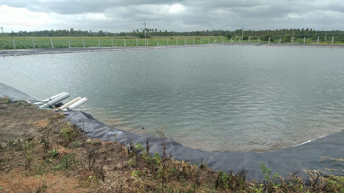 ರಾಜ್ಯದಾದ್ಯಂತ 1,918 ಕೃಷಿ ಹೊಂಡ ನಿರ್ಮಾಣ: ₹ 50 ಕೋಟಿ ಅನುದಾನ ಬಾಕಿ