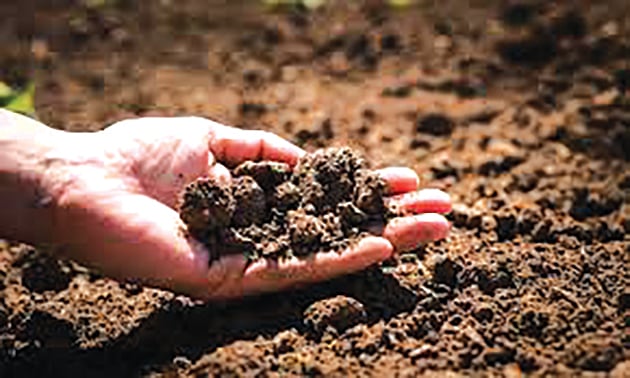 ಮಣ್ಣಿನಲ್ಲಿರುವ ವಿಷಕಾರಿ ಅಂಶ ಹೀರುವ ಬ್ಯಾಕ್ಟೀರಿಯಾ ಪತ್ತೆ