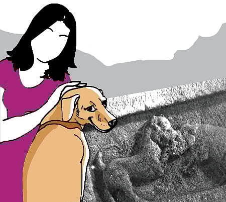 ಸಂಗತ: ‘ಶಾಸನ’ ಮೀರಿಸಿದ ಶ್ವಾನ ಪ್ರೀತಿ