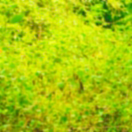 ಶ್ರೀದೇವಿ ಕೆರೆಮನೆ ಅವರ ಕಥೆ: ಸುಪ್ತಪ್ರಜ್ಞೆಯ ಒಳಗೆ..