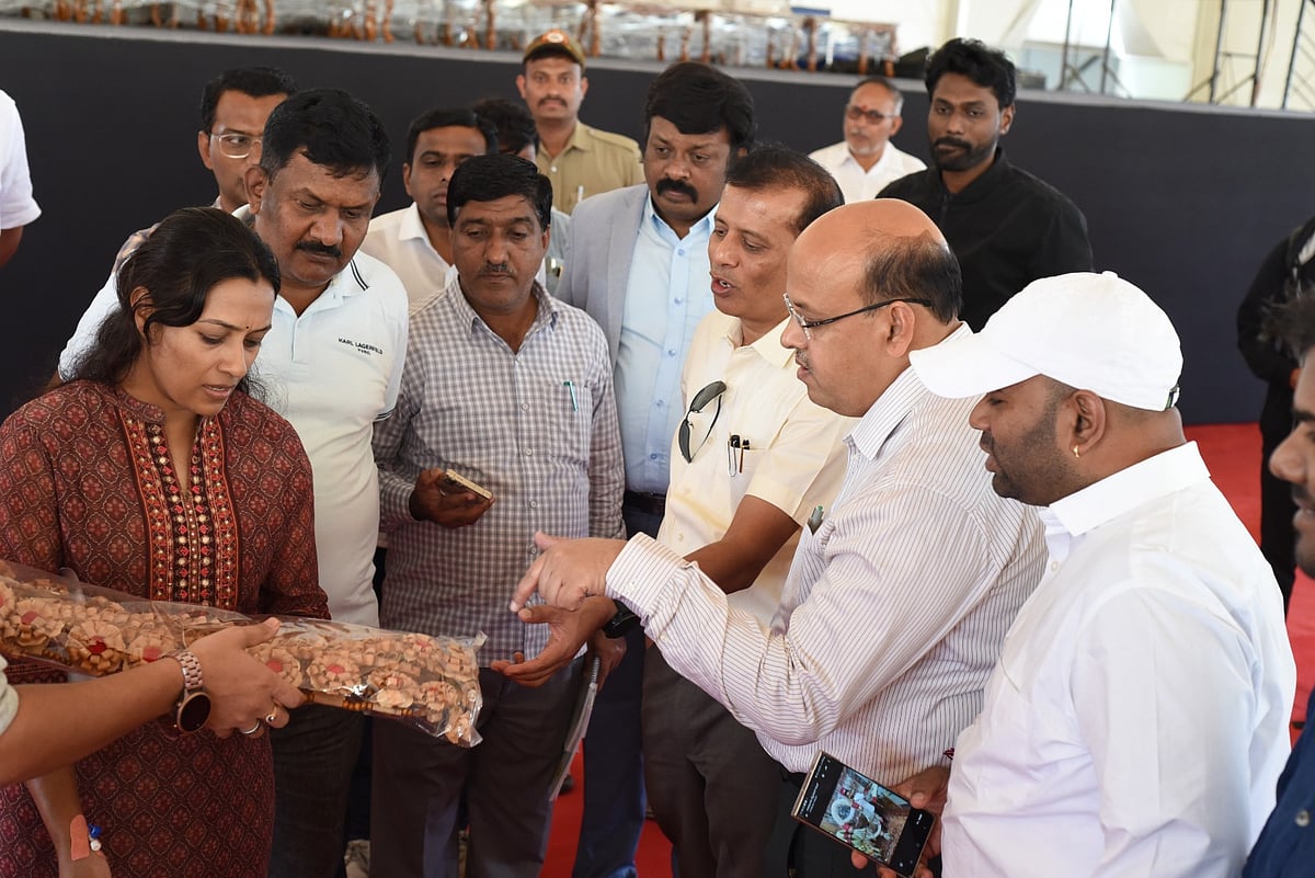 ದಾವಣಗೆರೆ: ರಾಜ್ಯಮಟ್ಟದ ಯುವಜನೋತ್ಸವ– ಯುವ ಕಲರವಕ್ಕೆ ದೇವನಗರಿ ಸಜ್ಜು