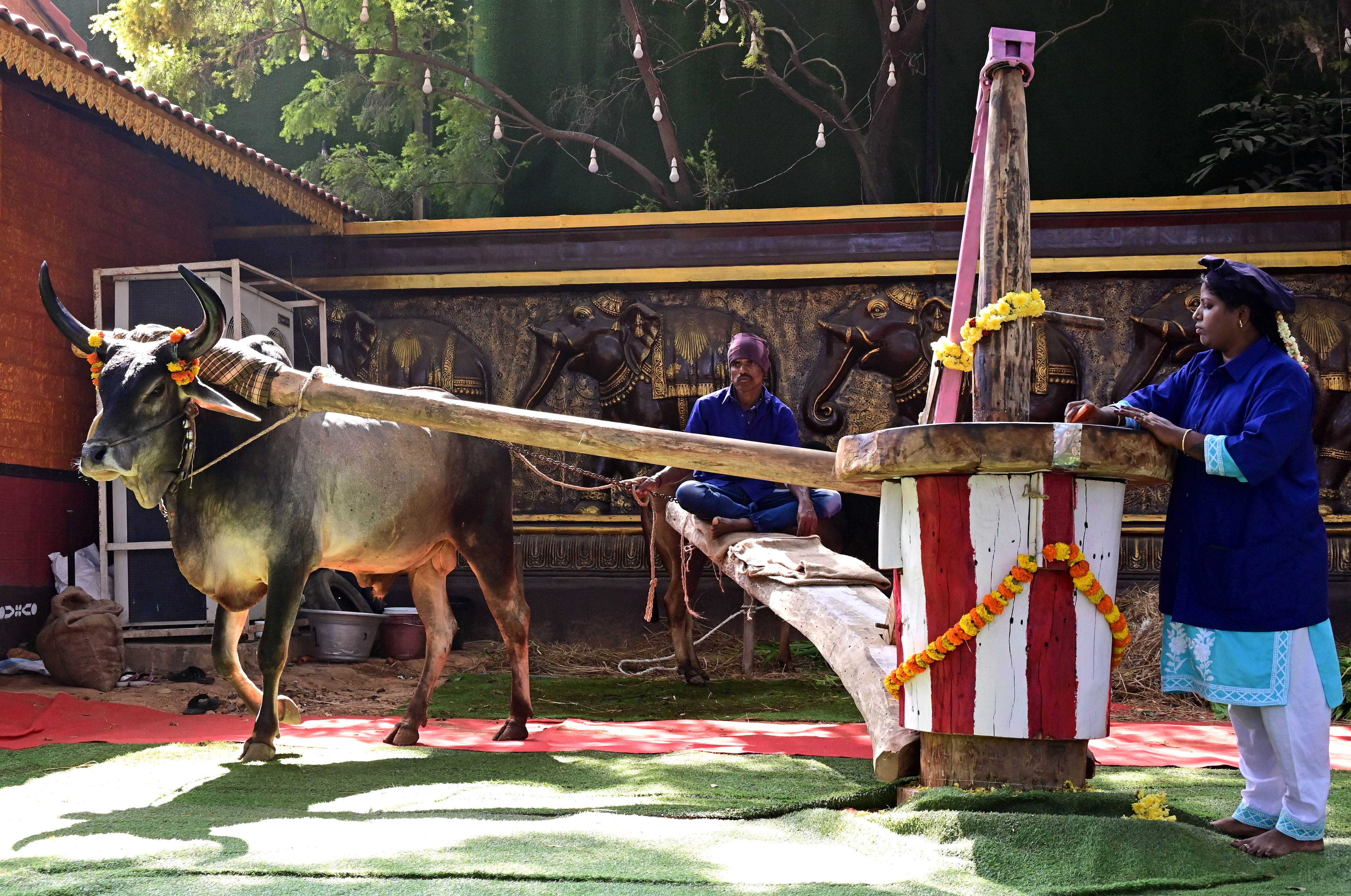 ಎಕ್ಸ್‌ಪೊದಲ್ಲಿ ಪ್ರಮುಖ ಆಕರ್ಷಣೆಯಾಗಿರುವ ಕೊಬ್ಬರಿ ಎಣ್ಣೆಯ ಸಾಂಪ್ರದಾಯಿಕ ಗಾಣ
ಪ್ರಜಾವಾಣಿ ಚಿತ್ರ