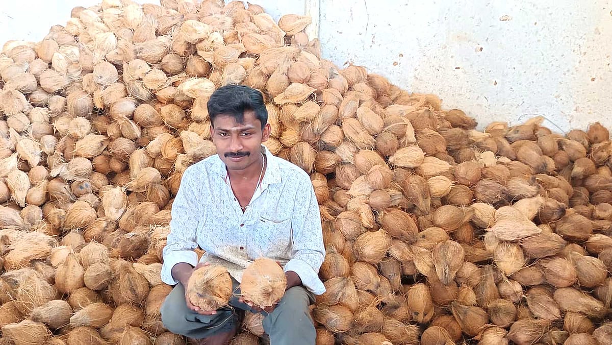 ಗಗನಕ್ಕೇರಿದ ತೆಂಗಿನಕಾಯಿ ದರ: ಗ್ರಾಹಕರು ಕಂಗಾಲು