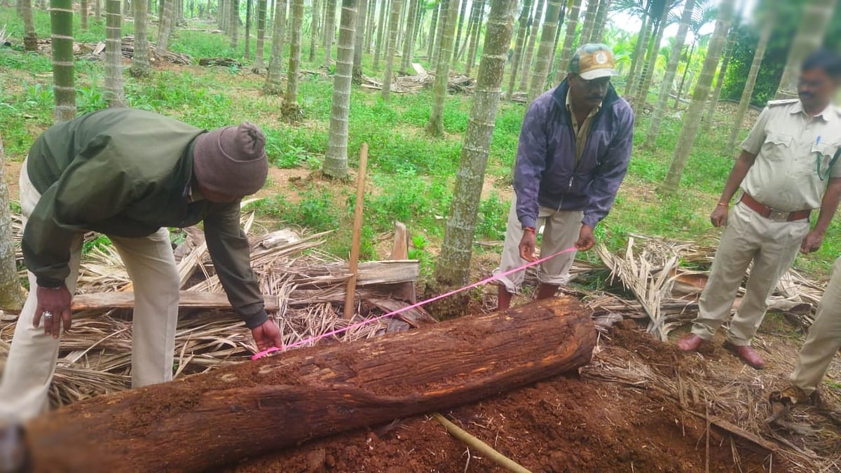 ಅರಣ್ಯ ಅಪರಾಧ: ಆನ್‌ಲೈನ್‌ ಎಫ್‌ಐಆರ್ ದಾಖಲಿಸಲು ಗರುಡಾಕ್ಷಿ ತಂತ್ರಾಂಶ