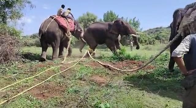 ರಾಮನಗರ: ‘ಆನೆ ಕ್ಯಾಂಪ್’ ಎಂಬ ಶಾಶ್ವತ ಪರಿಹಾರದ ನಿರೀಕ್ಷೆ!