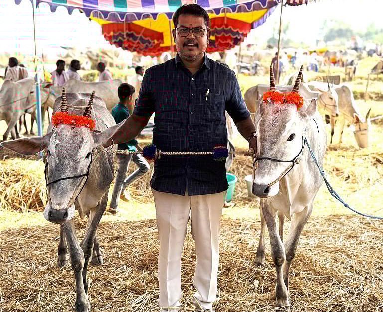 ಚುಂಚನಕಟ್ಟೆ ಜಾನುವಾರು ಪರಿಷೆ: ಹಳ್ಳಿಕಾರ್ ತಳಿಯ 2 ಕರುಗಳ ಬೆಲೆ ₹2 ಲಕ್ಷ