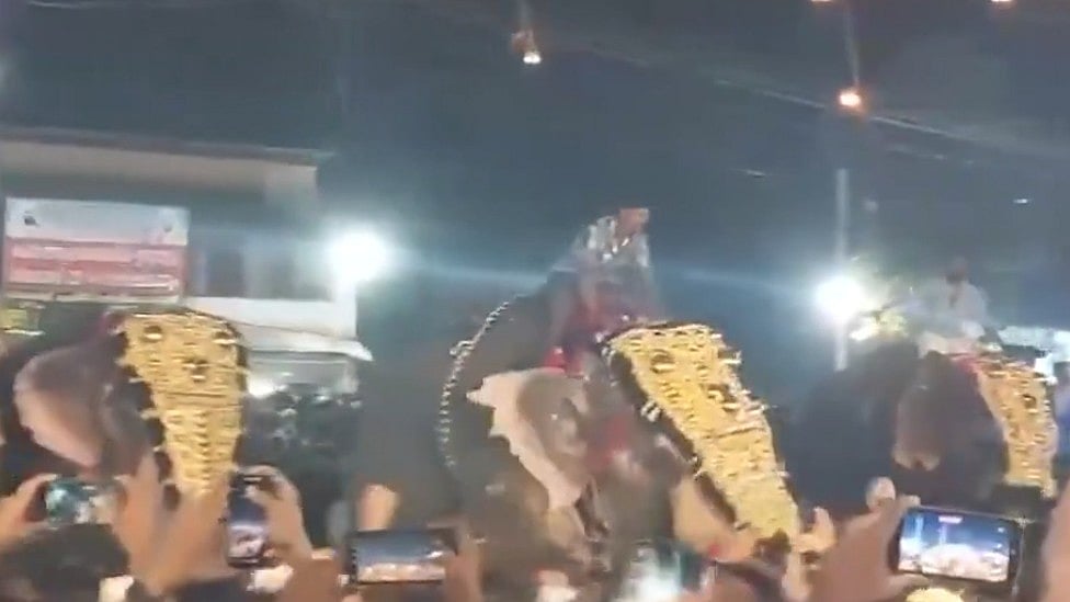 VIDEO | ಕೇರಳದ ಮಸೀದಿಯ ಧಾರ್ಮಿಕ ಕಾರ್ಯಕ್ರಮದಲ್ಲಿ ಬೆಚ್ಚಿದ ಆನೆ: 23 ಜನರಿಗೆ ಗಾಯ