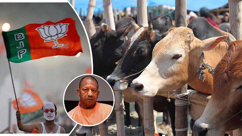 ನಿತ್ಯ 50,000 ಗೋ ಹತ್ಯೆ; ಯೋಗಿ ಆದಿತ್ಯನಾಥ ಸರ್ಕಾರ ಮೌನ: BJP ಶಾಸಕ ಕಿಶೋರ್ ಕಿಡಿ