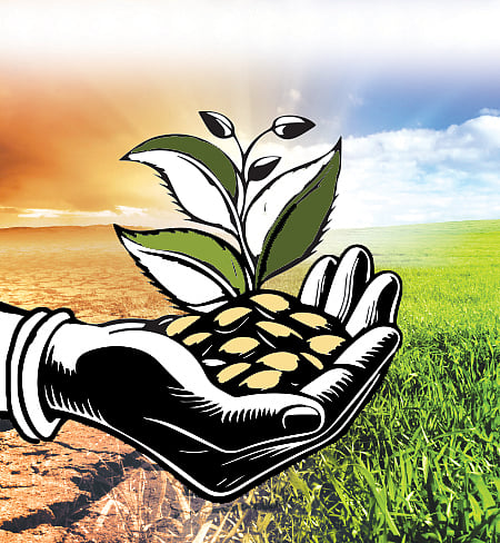 ಸಂಗತ | ಹೈಬ್ರಿಡ್‌ ಜಪಕ್ಕೆ ಜವಾರಿ ಸವಾಲು