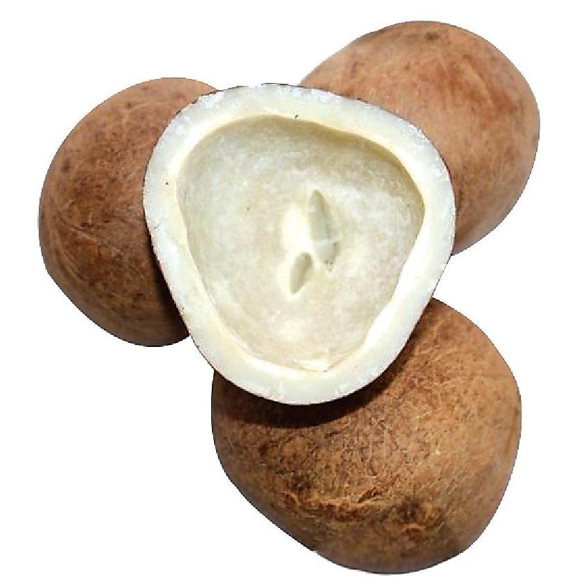 ಸಂಕ್ರಾಂತಿ ಹಬ್ಬ: ಕೊಬ್ಬರಿಗೆ ಹೆಚ್ಚಿದ ಬೆಲೆ