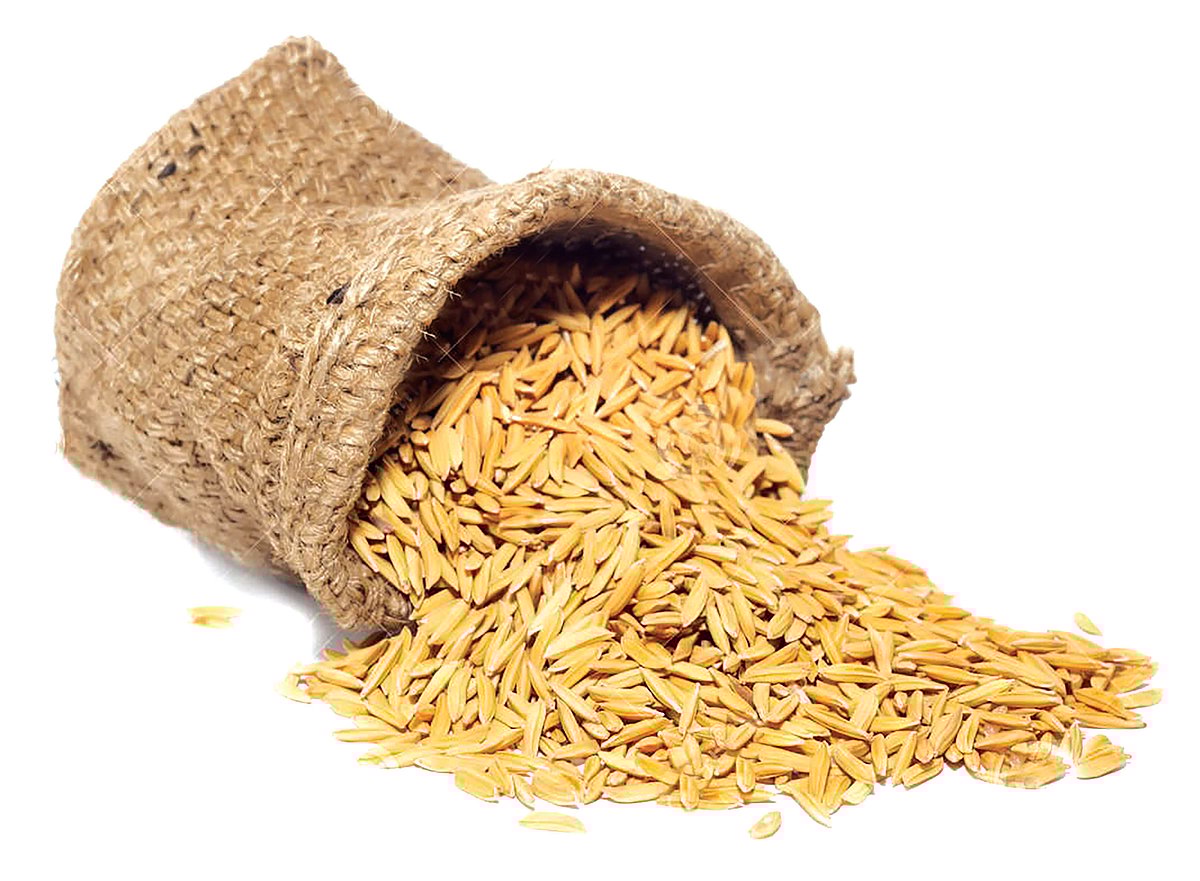 ಕುಸಿದ ಭತ್ತದ ಧಾರಣೆ: ರೈತರು ಕಂಗಾಲು