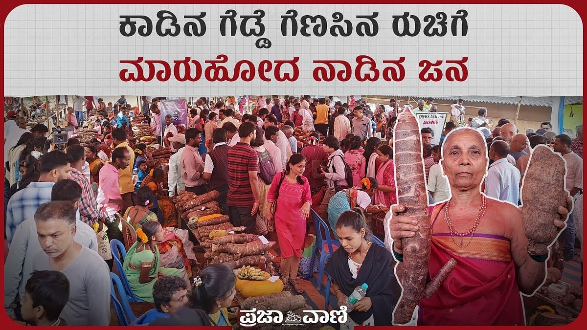 ಕಾಡಿನ ಗೆಡ್ಡೆ ಗೆಣಸಿನ ರುಚಿಗೆ ಮಾರುಹೋದ ನಾಡಿನ ಜನ