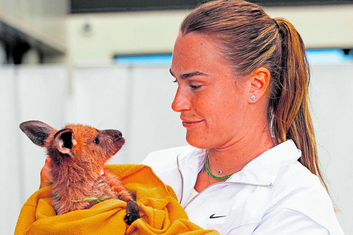 ಆಸ್ಟ್ರೇಲಿಯಾ ಓಪನ್ ಟೆನಿಸ್‌: ಸಿನ್ನರ್‌, ಅರಿನಾಗೆ ಪ್ರಶಸ್ತಿ ಉಳಿಸುವ ಗುರಿ