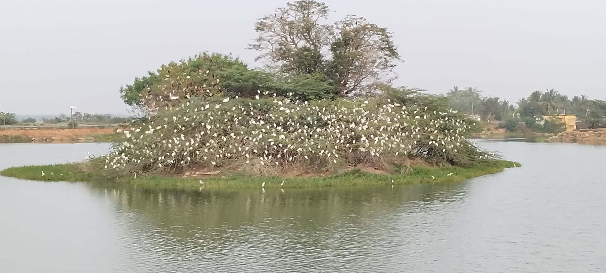 ಮುಳಗುಂದ: ಅಬ್ಬಿಕೆರೆಗೆ ಸೇರುವ ಚರಂಡಿ ನೀರು
