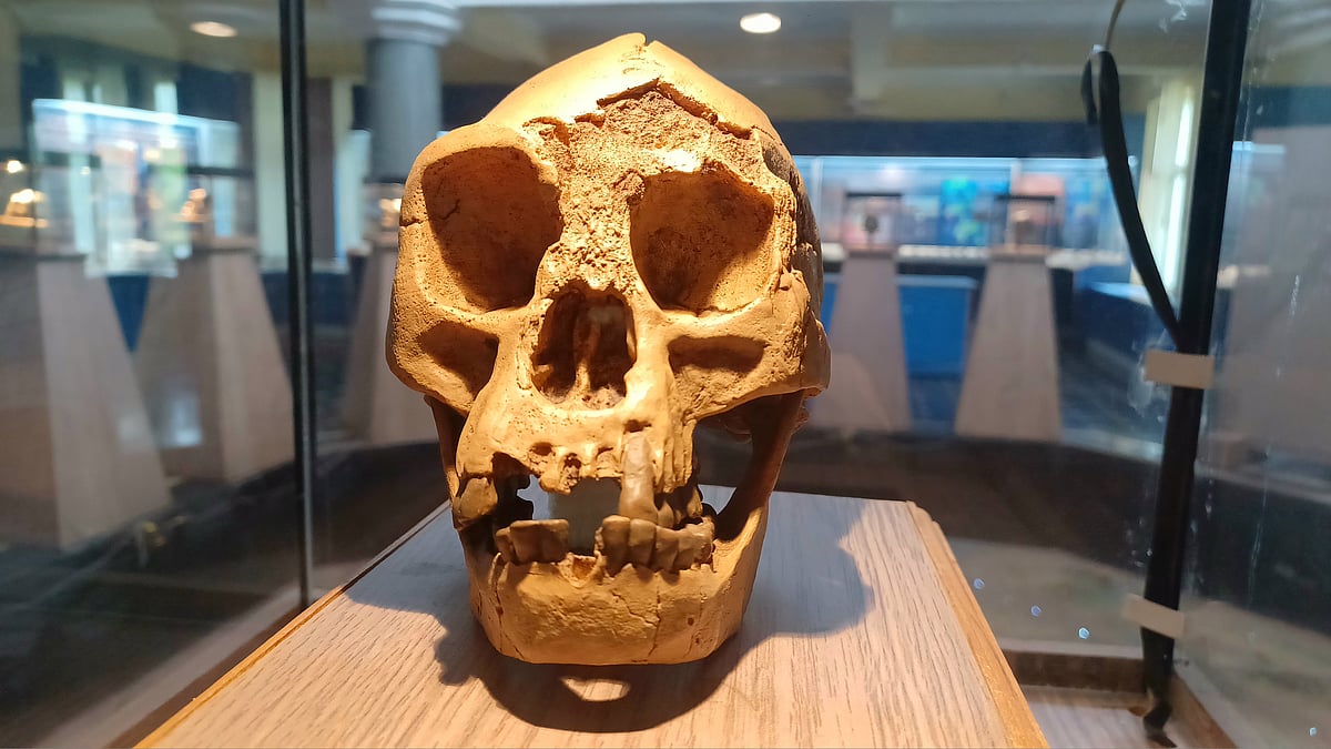 ನ್ಯೂ ಮೈಕೋ ಲೇಔಟ್‌ ಅಪಾರ್ಟ್‌ಮೆಂಟ್‌ ಇಂಗುಗುಂಡಿಯಲ್ಲಿ ತಲೆ ಬುರುಡೆ, ಮೂಳೆ ಪತ್ತೆ