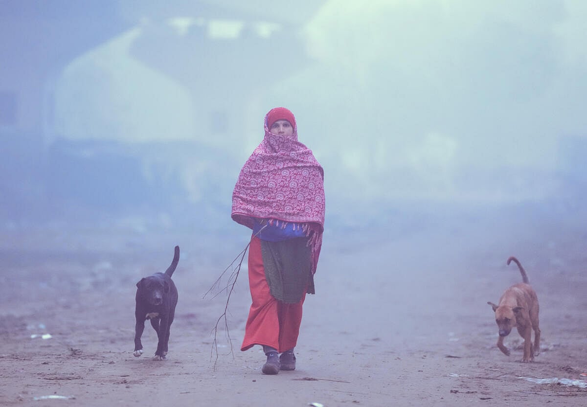 ರಾಜ್ಯದ ಹಲವೆಡೆ ದಟ್ಟ ಮಂಜು: ಹವಾಮಾನ ಇಲಾಖೆ ಮುನ್ಸೂಚನೆ 