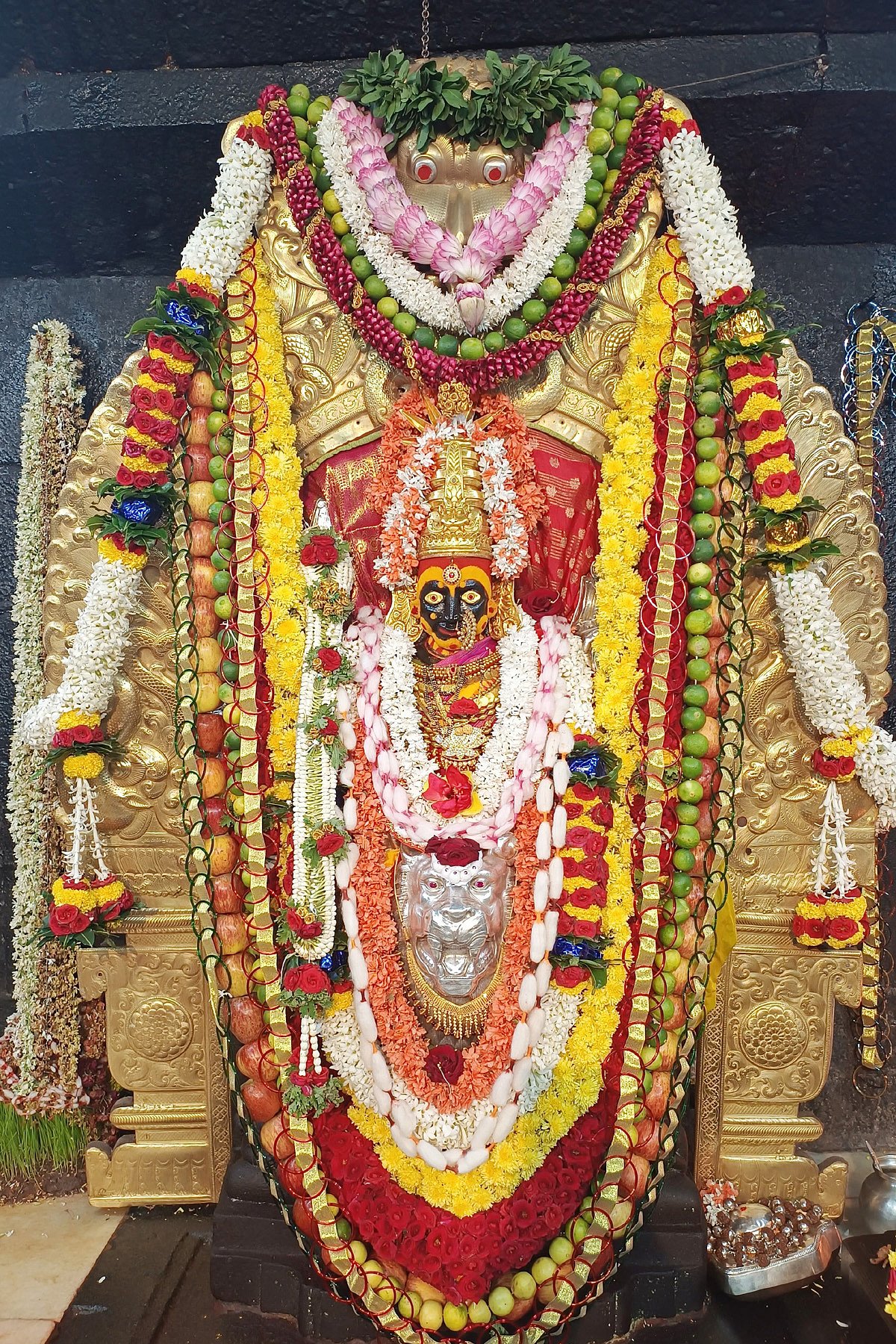 ಬಾದಾಮಿ: ಬನಸಿರಿ ಮಡಿಲಿನಲ್ಲಿ ಬನಶಂಕರಿದೇವಿ ರಥೋತ್ಸವ