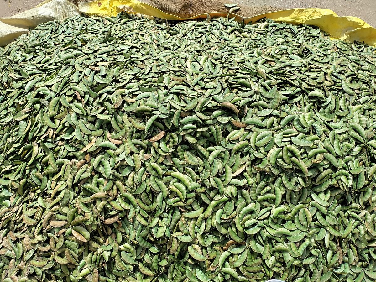 ತುಮಕೂರು: ಅವರೆಕಾಯಿ, ಮಸಾಲೆ ಪದಾರ್ಥ ದುಬಾರಿ