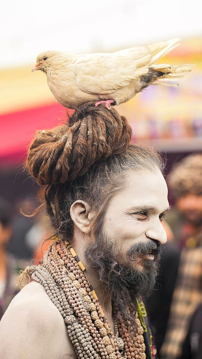 ಮಹಾ ಕುಂಭಮೇಳ 2025: ಕ್ಯಾಮೆರಾ ಕಣ್ಣಲ್ಲಿ ಸೆರೆಯಾದ ವಿಶೇಷ ಕ್ಷಣಗಳು