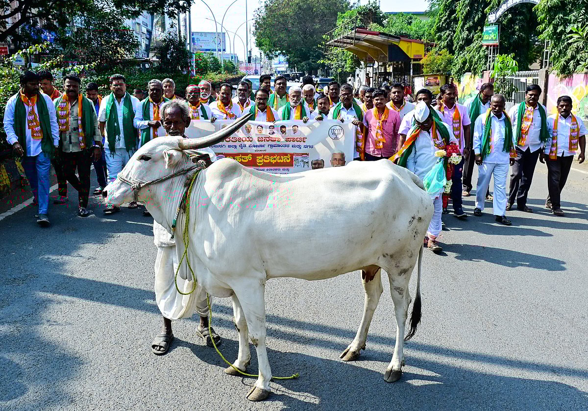 ಹಸುಗಳ ಕೆಚ್ಚಲು ಕತ್ತರಿಸಿದ ಘಟನೆ: ಉನ್ನತ ಮಟ್ಟದ ತನಿಖೆಗೆ ಆಗ್ರಹ