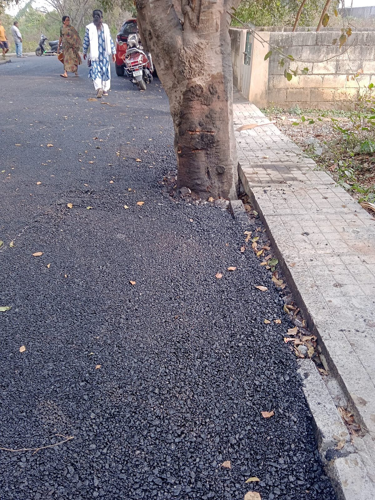 ರಾಜರಾಜೇಶ್ವರಿನಗರ: ಮರದ ಬುಡ ಮುಚ್ಚಿದ ಡಾಂಬರು