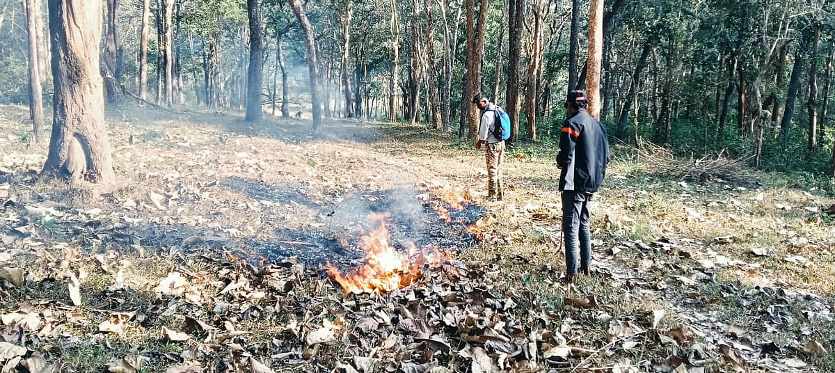 ನಾಗರಹೊಳೆ ಅಭಯಾರಣ್ಯ: ಬೆಂಕಿ ರಕ್ಷಣೆಗೆ ಫೈರ್ ಲೈನ್ 