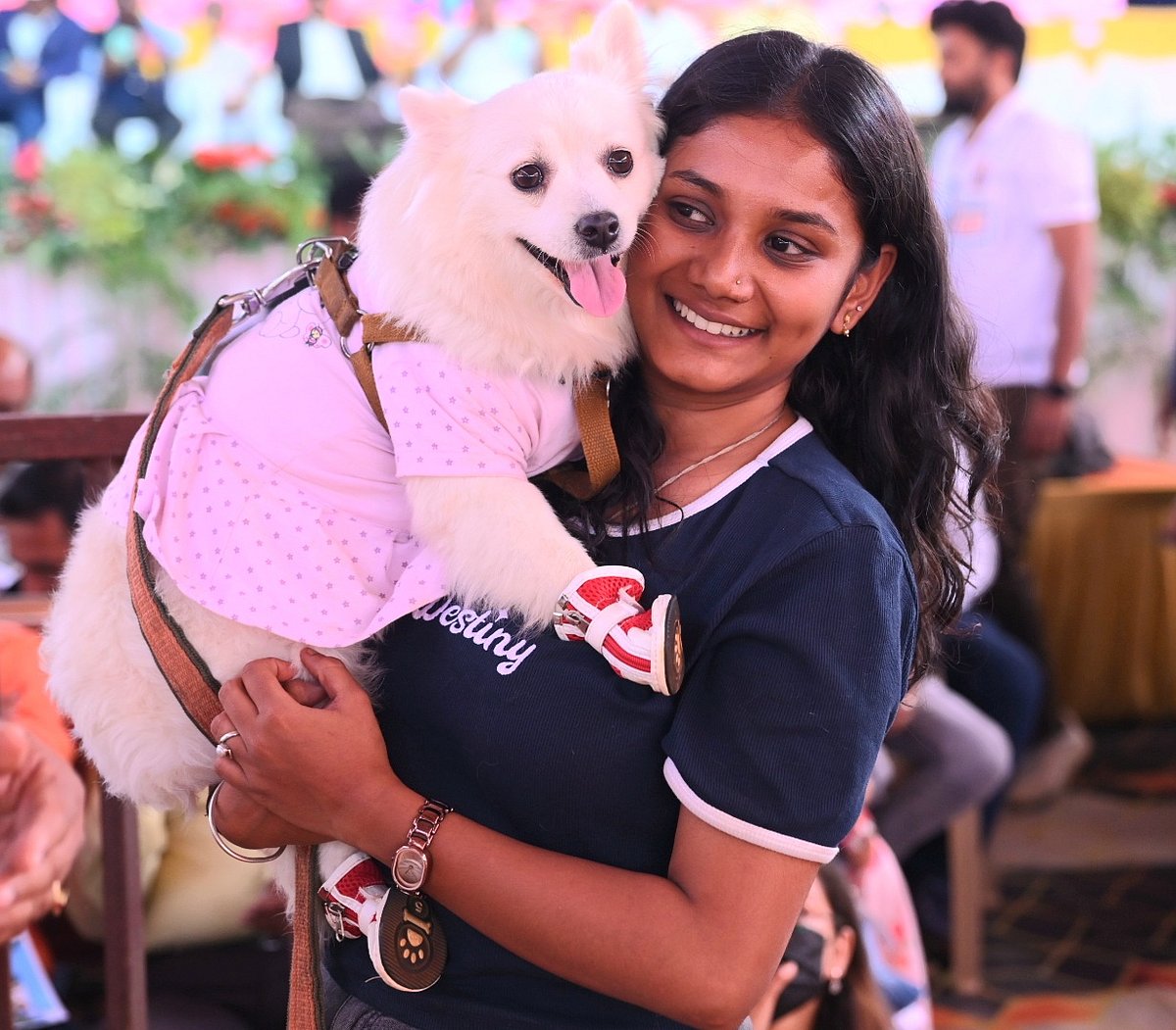 ಬೀದರ್‌: ಶ್ವಾನಪ್ರಿಯರ ಮನ ತಣಿಸಿದ ‘ಡಾಗ್‌ ಶೋ’