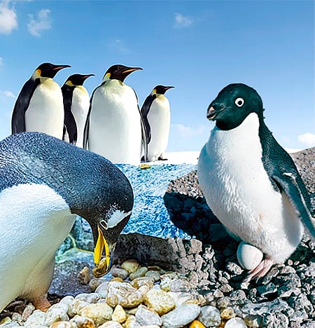 ಸಂಗತ:  ಶಿಲೆಗೆ ಮಾರುಹೋಗುವಾಕೆ: ಯಾರೀಕೆ?