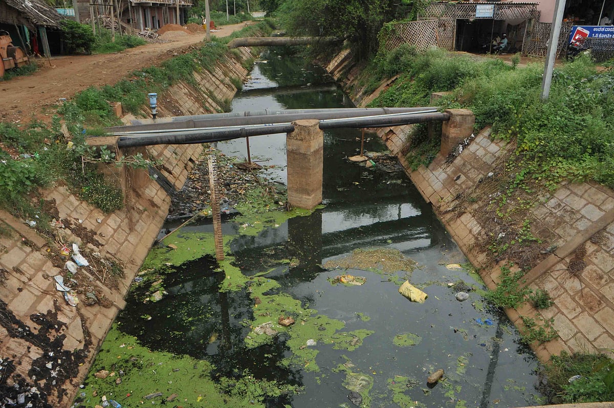 ಹಿರಿಯೂರು | ವಿವಿ ಸಾಗರದ ನಾಲೆಗಳು ಸಾಂಕ್ರಾಮಿಕ ರೋಗಗಳ ತಾಣ 