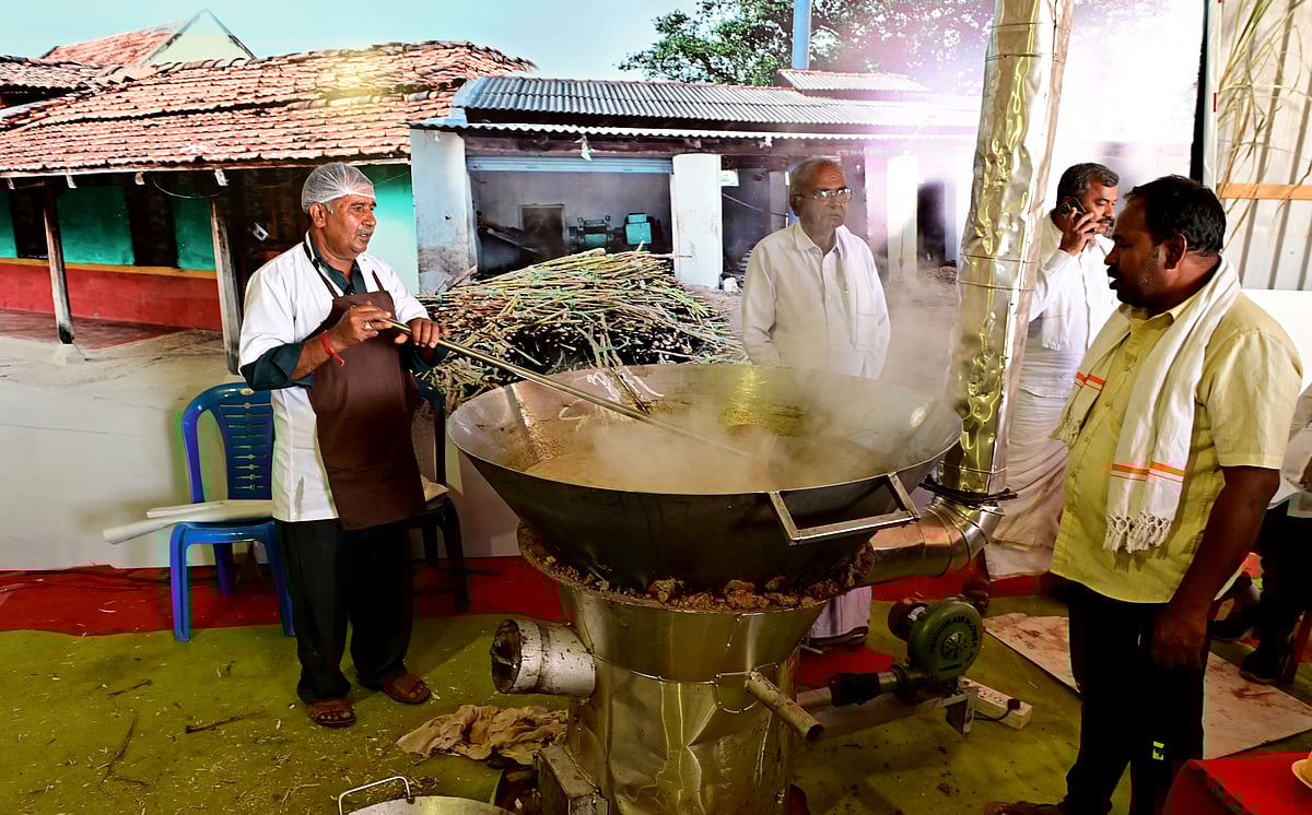 ಸಿರಿಧಾನ್ಯ ಮೇಳದಲ್ಲಿ ಮಂಡ್ಯ ಬೆಲ್ಲದ ಸವಿ!

