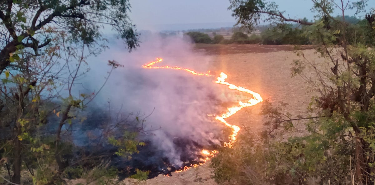 ಬಾಗಲಕೋಟೆ | ಕಬ್ಬಿನ ರವದಿಗೆ ಬೆಂಕಿ: ಪರಿಸರಕ್ಕೆ ಹಾನಿ; ಬೆಳೆ ಇಳುವರಿ ಕುಸಿತ