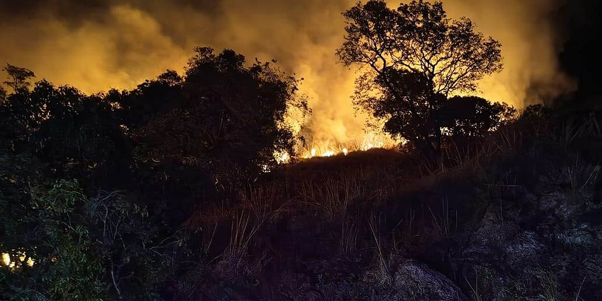 ಕಾಳ್ಗಿಚ್ಚಿನಿಂದ ಅರಣ್ಯ ರಕ್ಷಣೆ: ವನದೇವಿ ಮೊರೆ ಹೋದ ಅರಣ್ಯಾಧಿಕಾರಿಗಳು