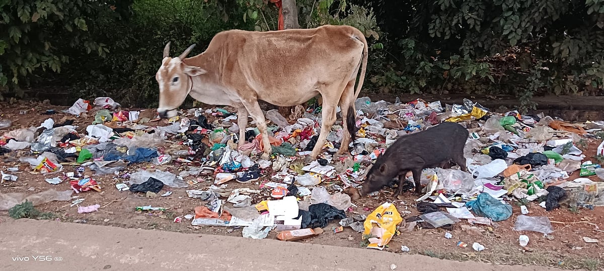 ಹೊನ್ನಾಳಿ | ವಿಲೇವಾರಿಯಾಗದ ಕಸ: ತಪ್ಪದ ಪರದಾಟ