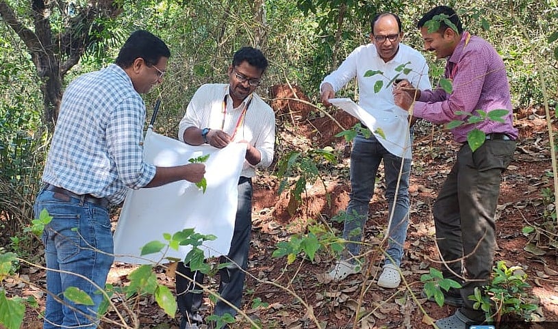 ಚಿಕ್ಕಮಗಳೂರು | ಮಂಗನ ಕಾಯಿಲೆ: ಮುನ್ನೆಚ್ಚರಿಕೆಯೇ ಮದ್ದು