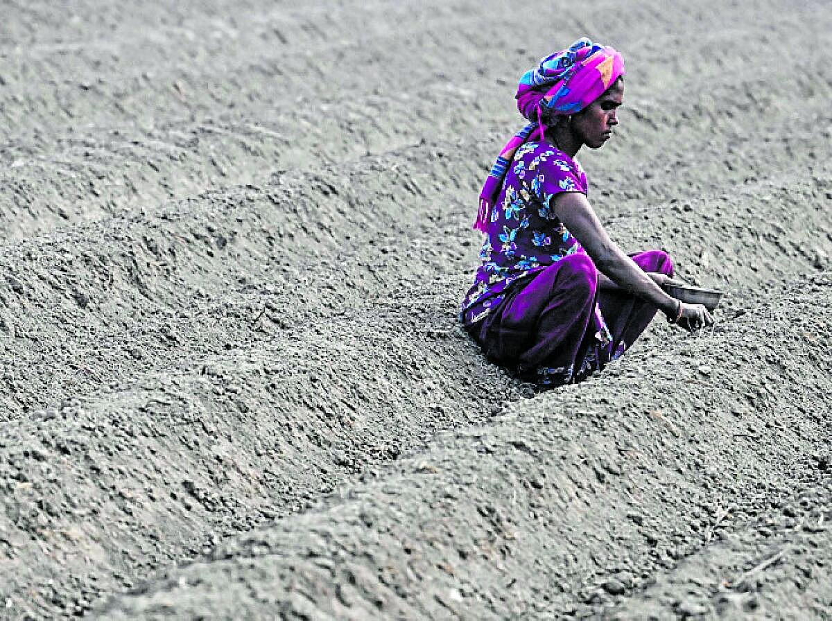 ಬಜೆಟ್‌ ವಿಶ್ಲೇಷಣೆ | ಏಕತ್ರ ಸೂತ್ರದ ಜಪ: ಹೆಚ್ಚಿಸದ ಅನ್ನದಾತರ ವಿಶ್ವಾಸ