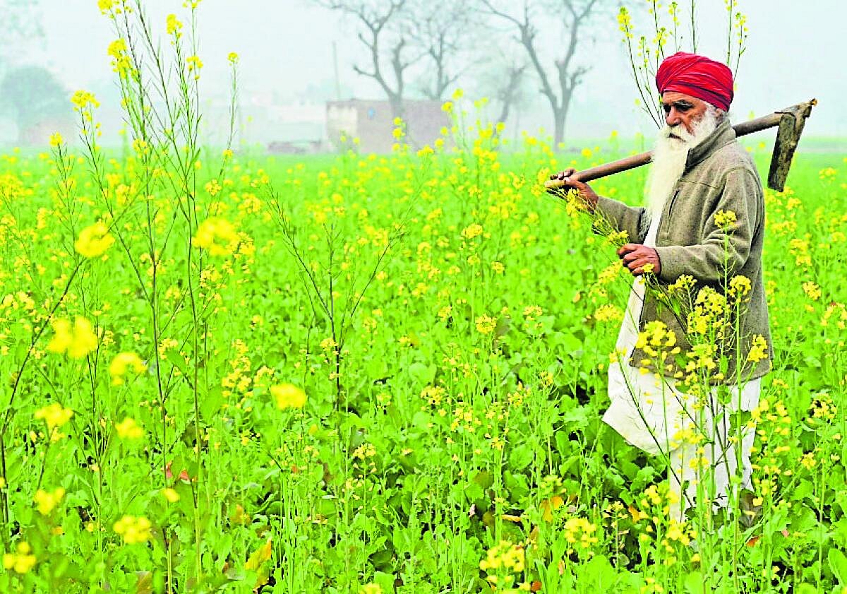 Union Budget 2025: ಕೃಷಿ–ಹಲವು ಯೋಜನೆಗಳ ಬಿತ್ತನೆ