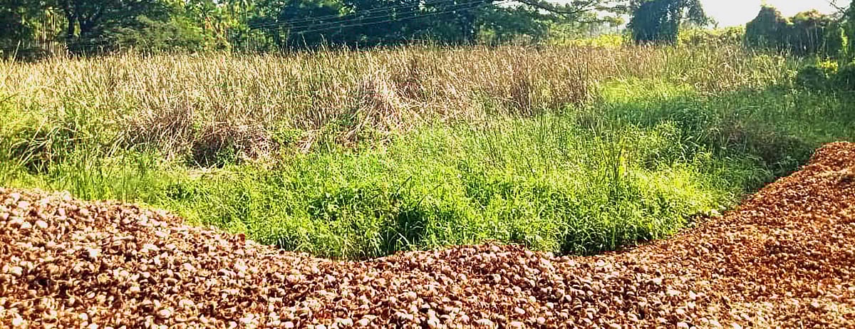 ಕೆಂಗಾಪುರದ ಕೆರೆಗೆ ಜೀವಕಳೆ: ಧರ್ಮಸ್ಥಳ ಗ್ರಾಮೀಣ ಅಭಿವೃದ್ಧಿ ಯೋಜನೆಯಿಂದ ಕಾಯಕಲ್ಪ