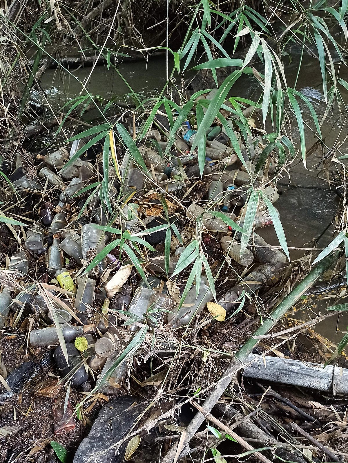 ಜೀವನದಿ ಕಾವೇರಿಯ ಒಡಲು ಸೇರುತ್ತಿದೆ ತ್ಯಾಜ್ಯ ನೀರು