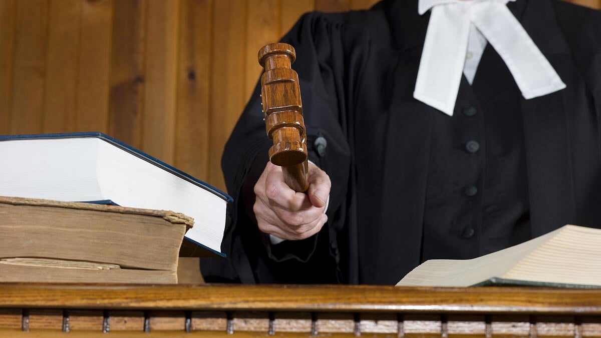 ಒಡಿಶಾ | ಕಳ್ಳತನದ ಆರೋಪಿಗೆ ಜಾಮೀನು: 200 ಗಿಡ ನೆಡುವ ಷರತ್ತು ಹಾಕಿದ ಕೋರ್ಟ್‌